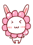 Cute Rabbit66